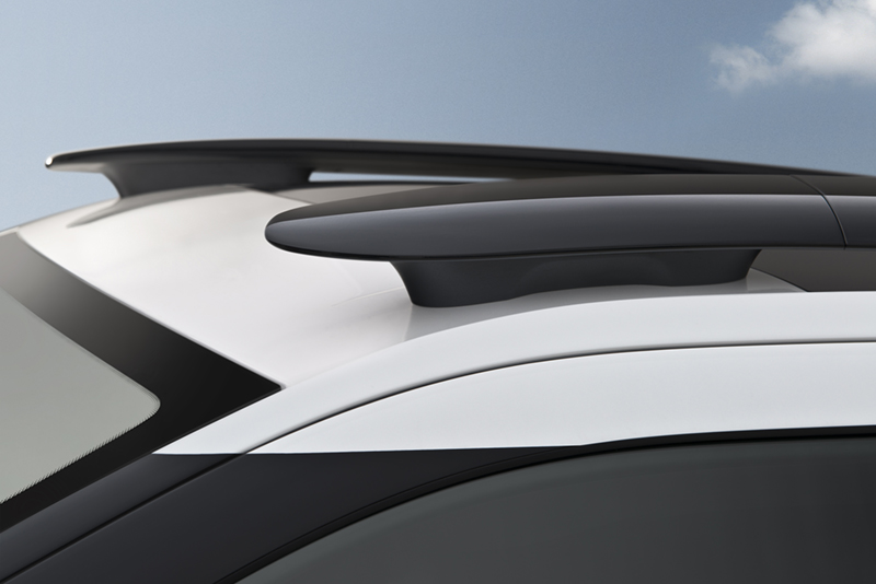 Citro�n C4 Cactus