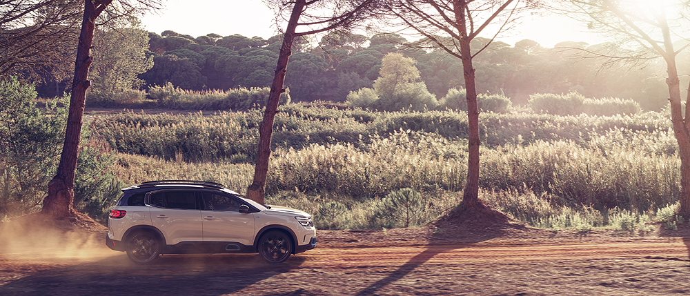 Click for large image