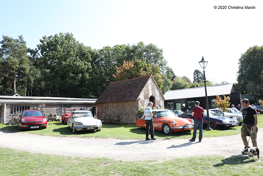 Click for large image