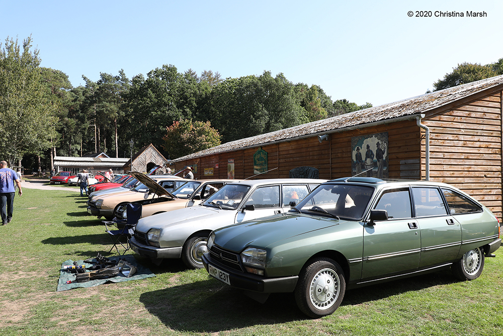 Click for large image