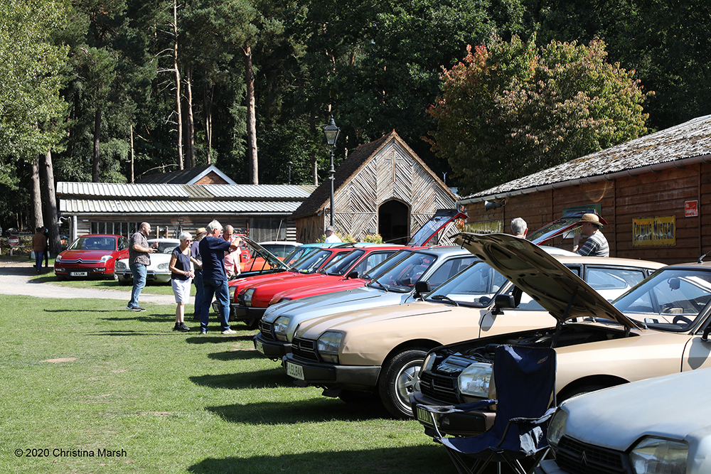 Click for large image