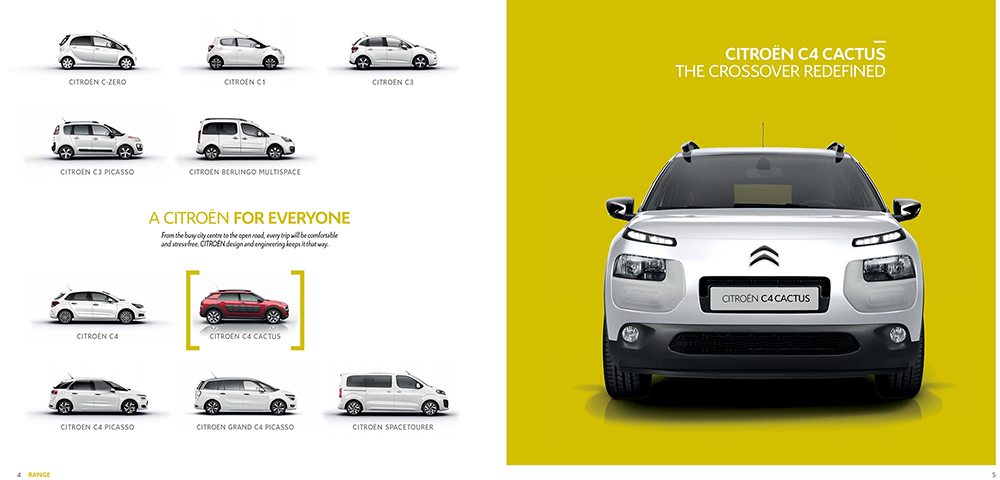 Click for
                      large image