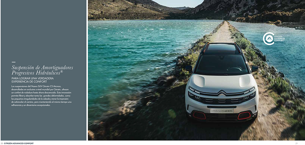 Click
                          for large image