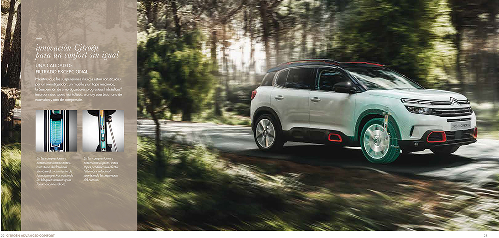 Click
                          for large image