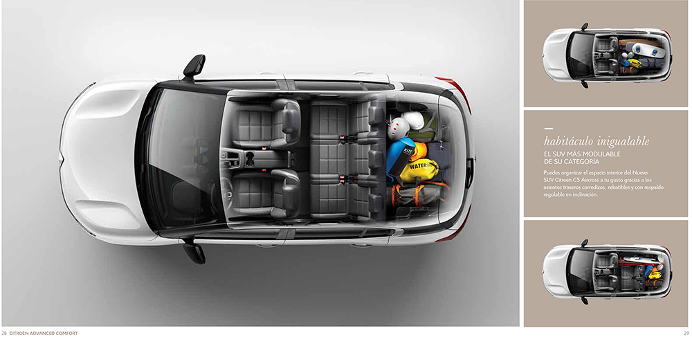 Click
                          for large image