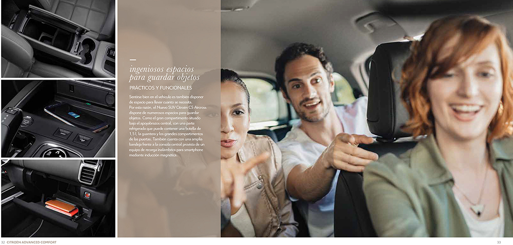 Click
                          for large image