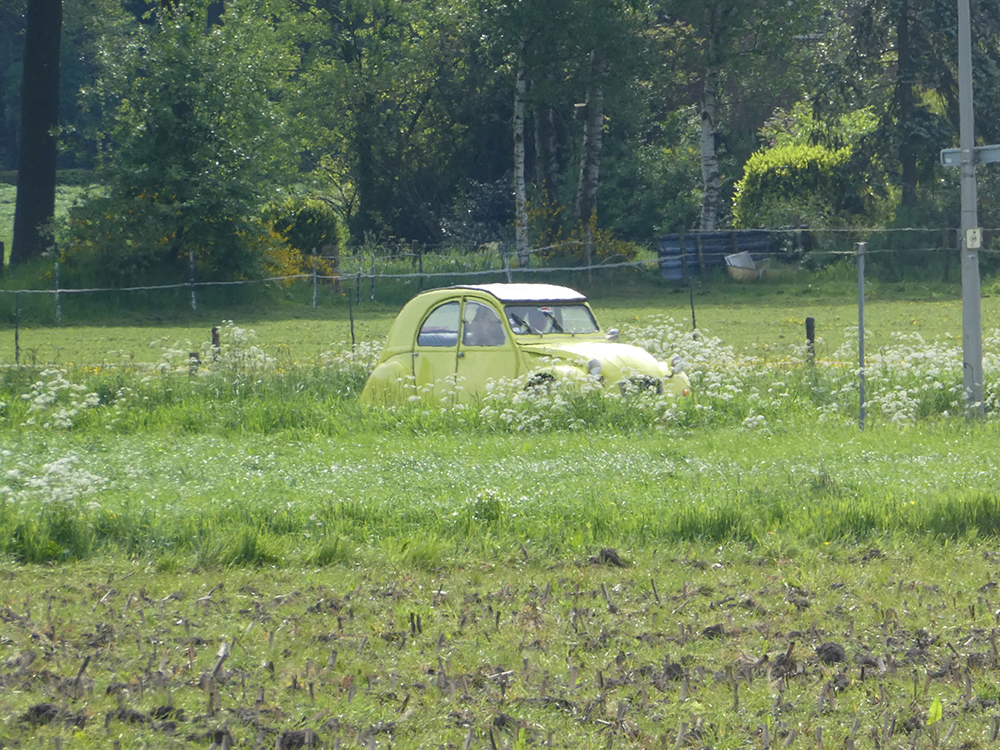 � 2024 Jan
                                    Matthijs Werkman