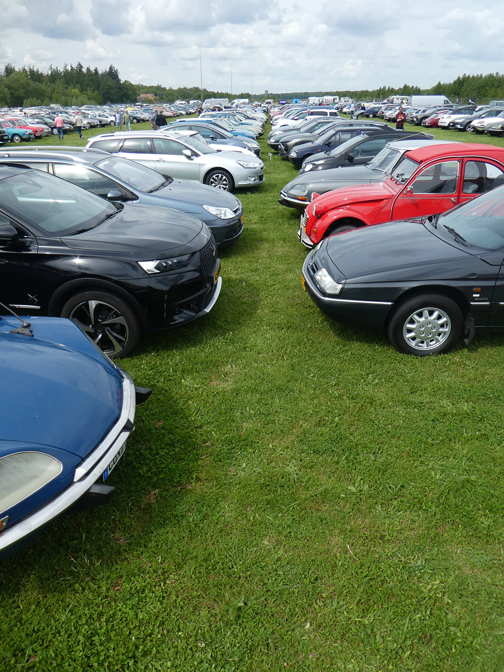 � 2024 Jan
                                    Matthijs Werkman