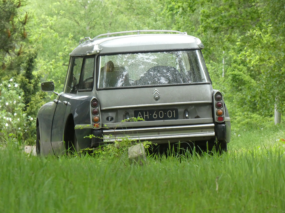 � 2024 Jan
                                    Matthijs Werkman