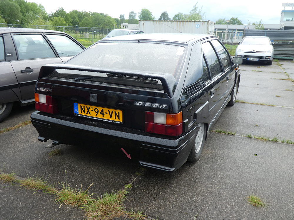 � 2024 Jan
                                    Matthijs Werkman