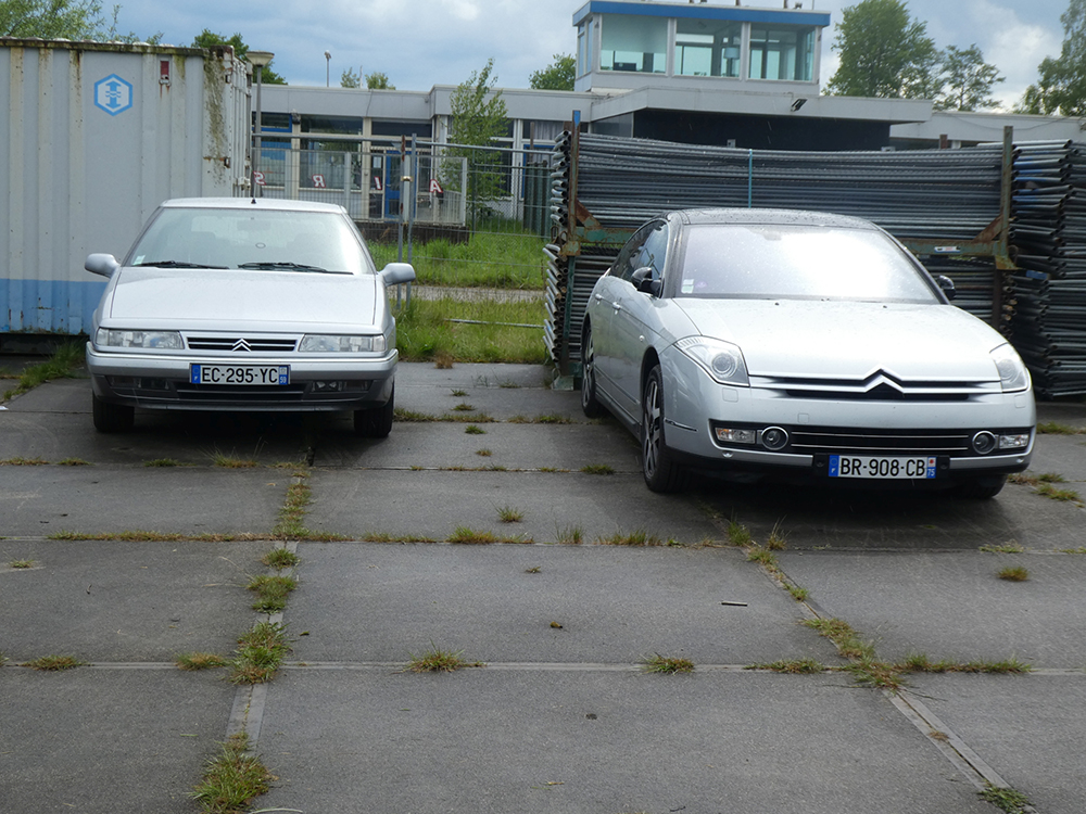 � 2024 Jan
                                    Matthijs Werkman