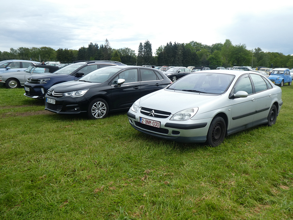 � 2024 Jan
                                    Matthijs Werkman