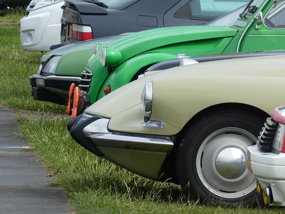 � 2024 Jan
                                    Matthijs Werkman