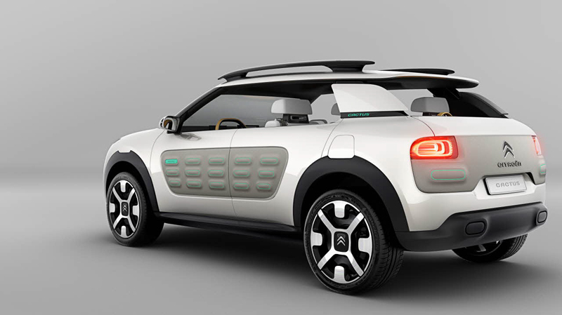Citro�n Cactus