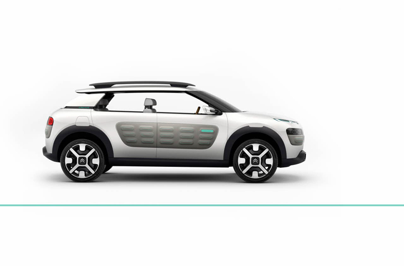 Citro�n Cactus