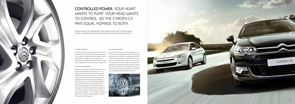 Click for large image. Press back button on your
                  browser to return here.